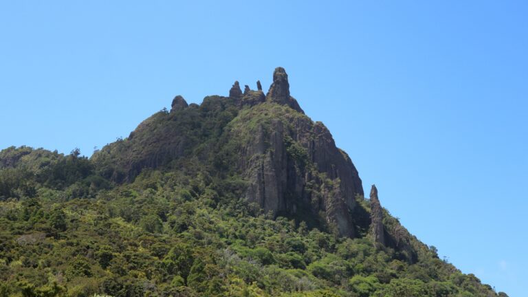 Zoom zu den Andesitfingern des Mount Manaia