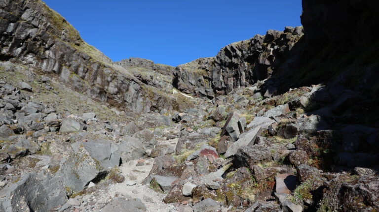Im Hongi's Valley