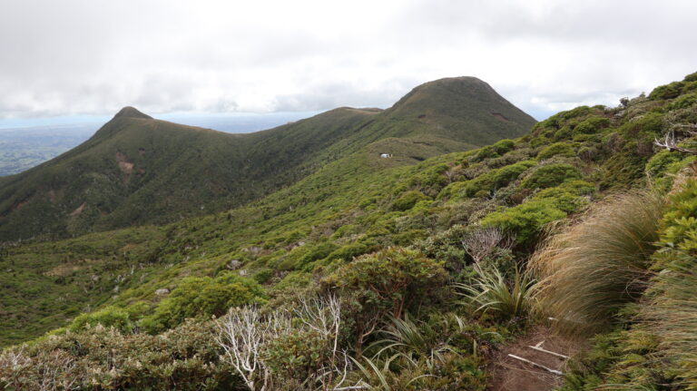 Kleine Hütte am Abzweig des Ahukawakawa Tracks