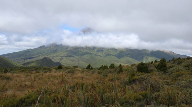 Kleines Sichtfenster zum Taranaki