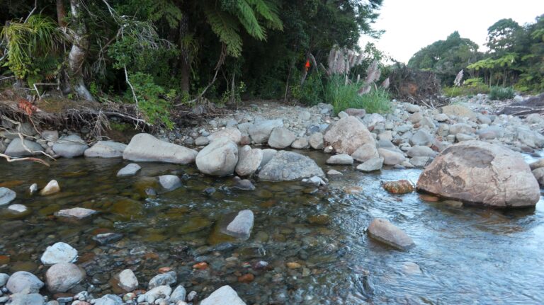 Der Weiterweg auf der anderen Seite des Kauaeranga Rivers ist nicht so leicht zu sehen.