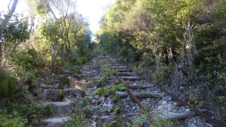 Auf dieser Schiene, der Billygoat incline, wurden gefällte Baumstämme mit einem steam hauler abtransportiert.