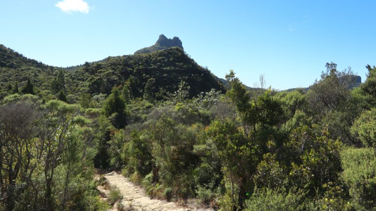 Der Pinnacles Track hält, was er verspricht.
