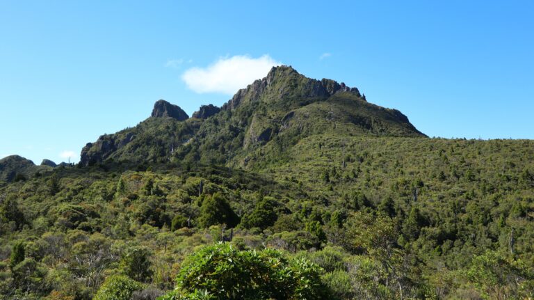 Ausblick vom Helikopterlandeplatz bei der Pinnacles Hut auf die Pinnacles.