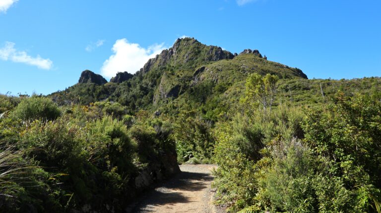 Weg nach der Pinnacles Hut