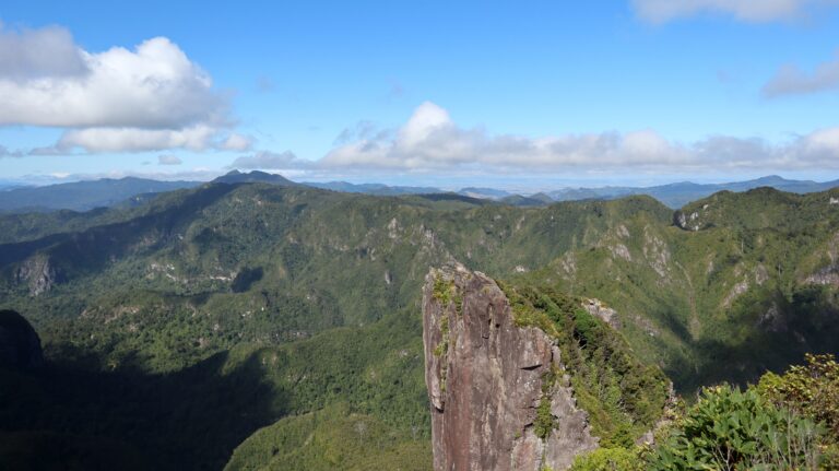Blick zum höchsten Berg der Coromandel Halbinsel, Kaitarakihi
