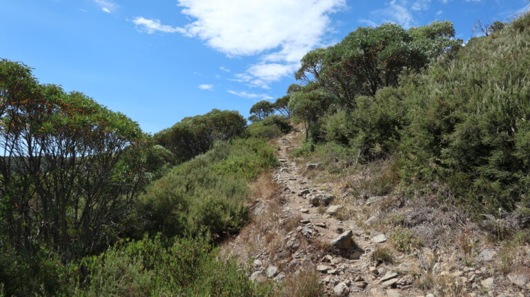 Staircase Spur