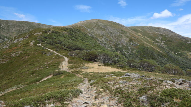 Am Abzweig der Granite Flat Spur