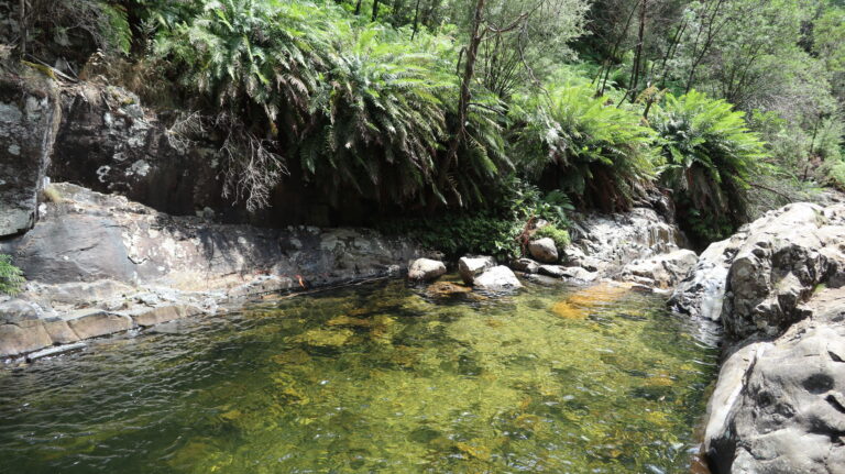 Schöne Badewanne - noch nicht mal kalt