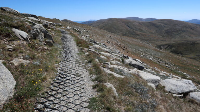 Main Range Track - dieses Plastikgitter soll wohl vor Erosion schützen.