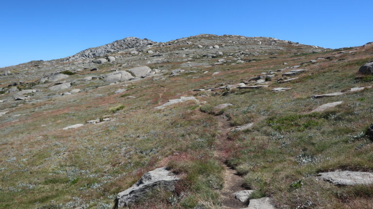 Pfad zum Mount Townsend