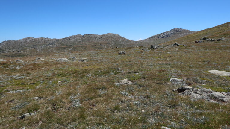 Am Muellers Pass zweigt der Weg zum Mount Townsend ab. Anfangs ist keine Spur erkennbar, sie offenbart sich erst nach einigen Metern.