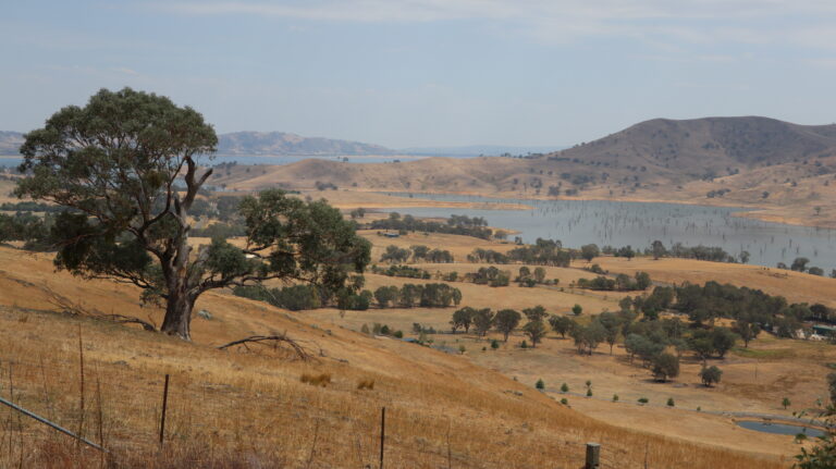 Tallangatta Lookout