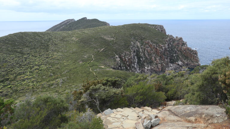 Ausblick nach dem Abzweig des Three Capes Tracks