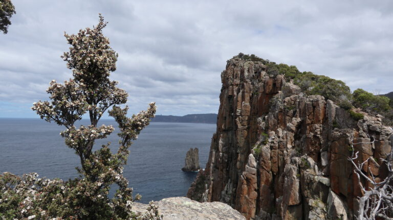 Doleritsäulen am Cape Hauy