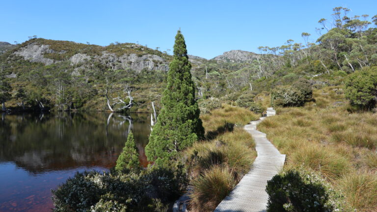 Wombat Pool