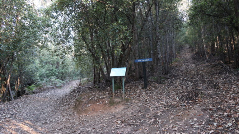 Abzweig zum Mount Vandyke