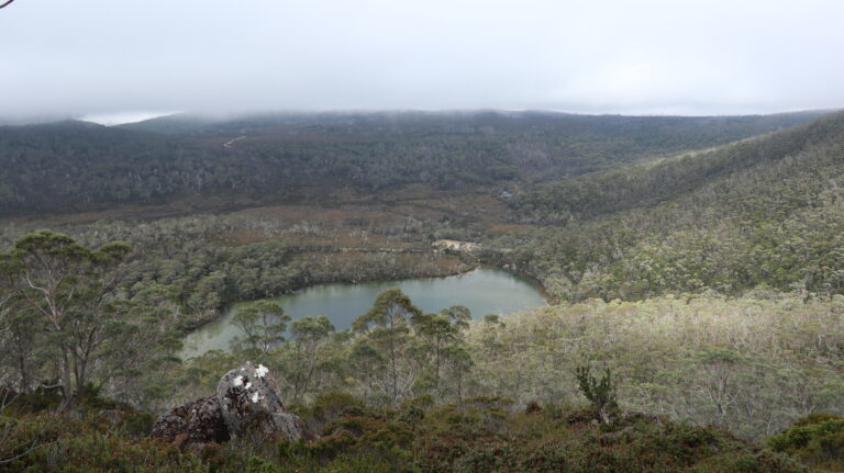Lake Dobson von oben