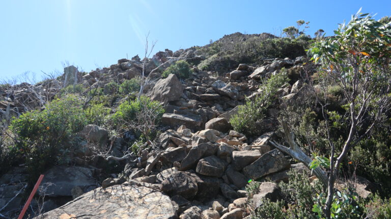 Der Weg zum Mount Eliza ist noch harmlos.