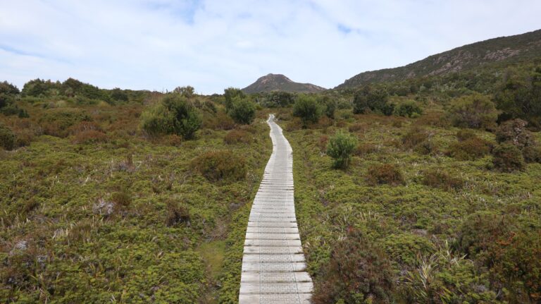 Boardwalk