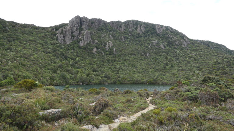 Ladies Tarn