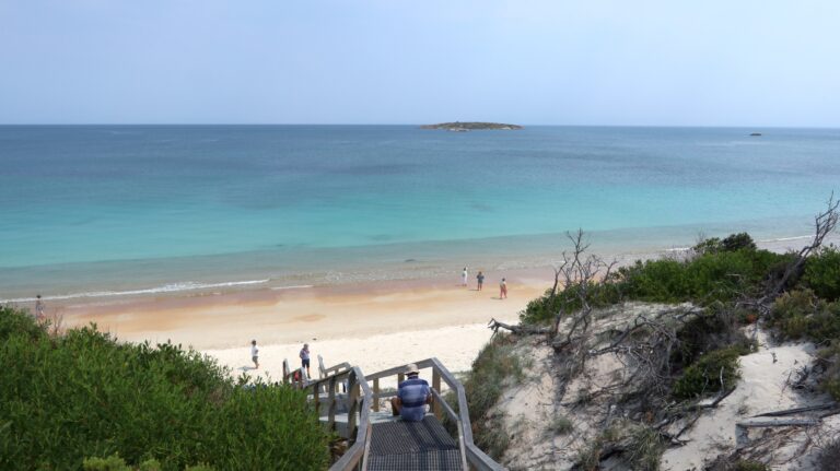 Der Hazards Beach ist badetauglicher als der Wineglass Bay Beach.