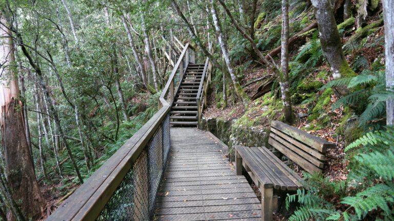 Treppen von den Russell Falls zu den Horseshoe Falls