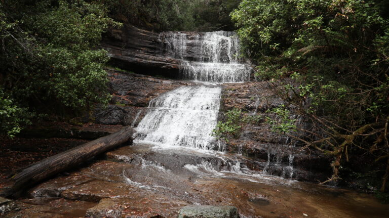 Lady Barron Falls