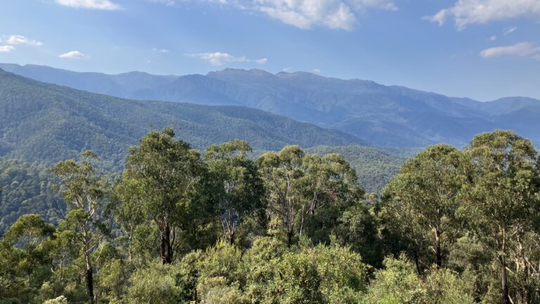 Scammels Ridge Lookout