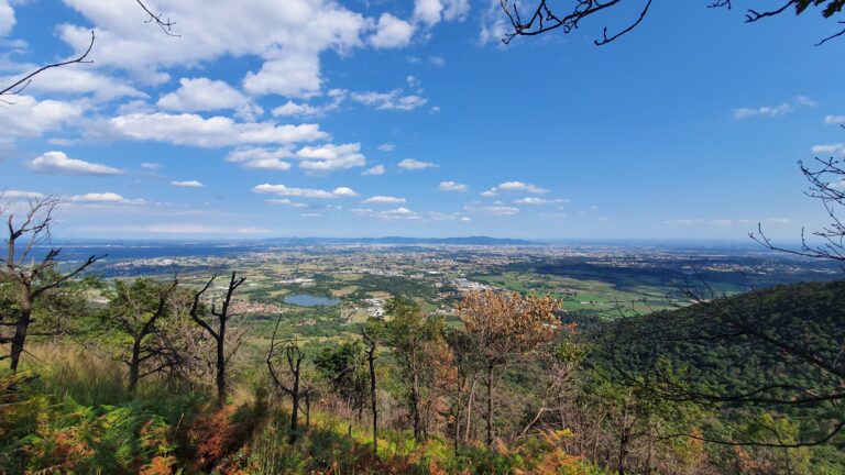 Blick durch verbrannten Wald Richtung Turin