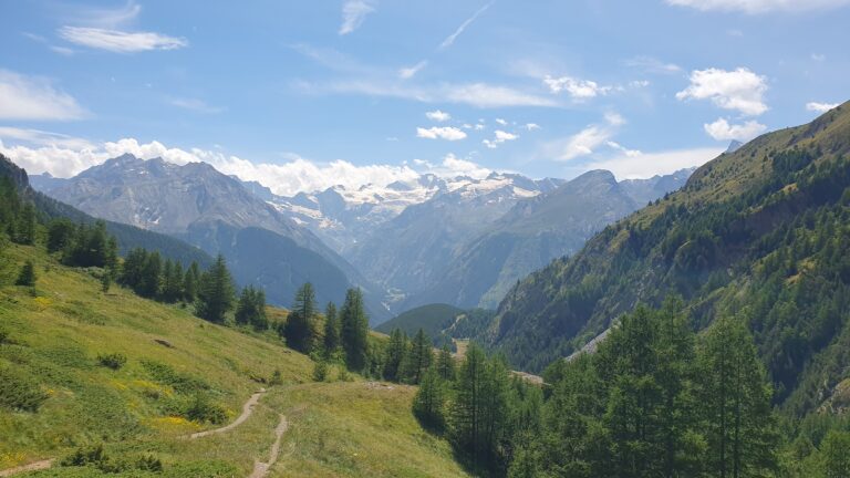 Von der Alp Pila hat man einen herrlichen Ausblick auf den Gran Paradiso.