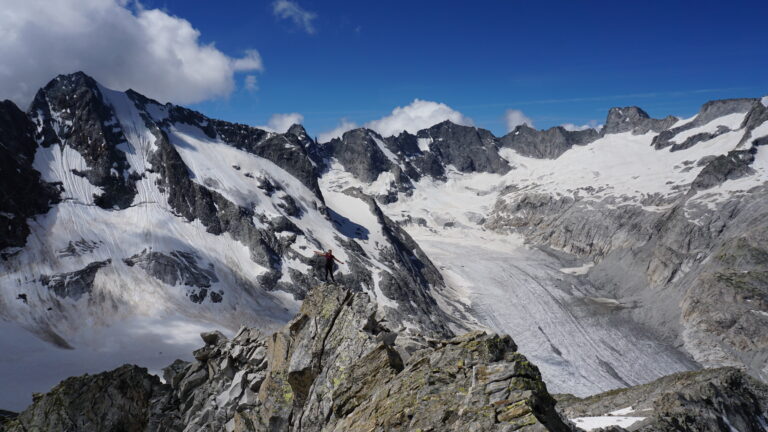 Gipfelblick auf den Fornogletscher