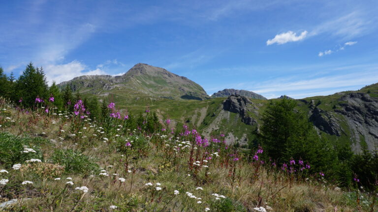 Blick auf den Mont Fallère am Beginn des Aufstiegs