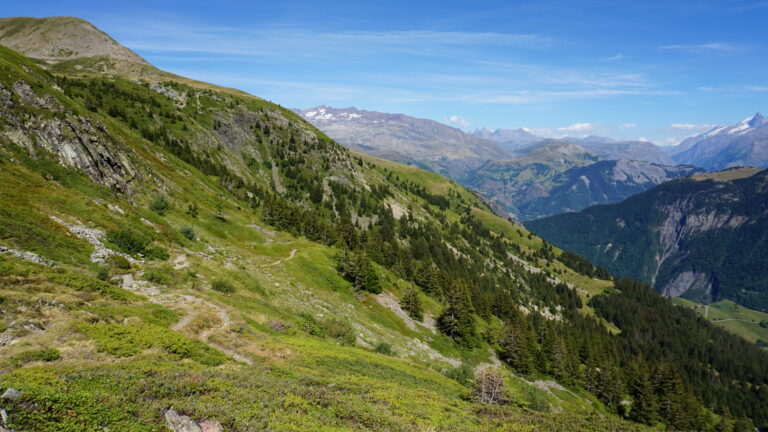Oberhalb der Waldgrenze offenbart sich ein schöner Ausblick.