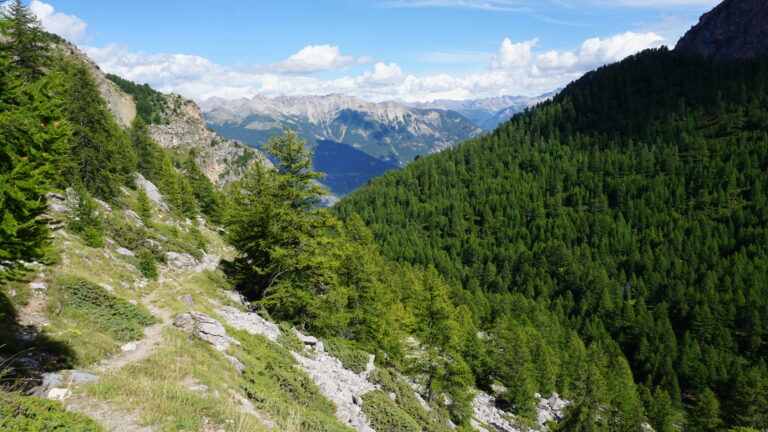 Abstieg über den "Weg Nr.15" zur Cabane de Tramouillon
