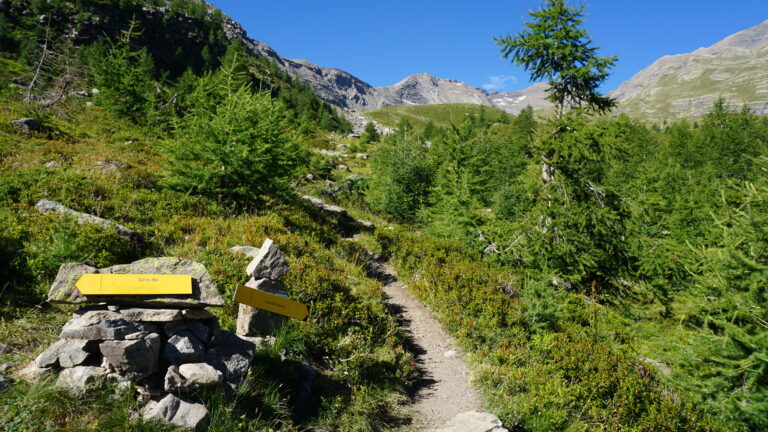 Weg zum Lac des Neyzets