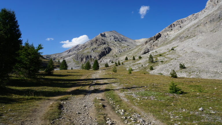 Auf dem Plateau des Baïsses