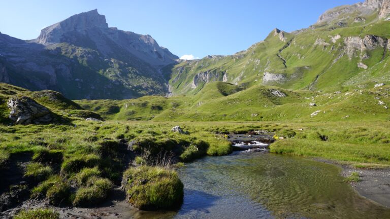 Die schöne Sumpfebene bei der Alp Bonalex