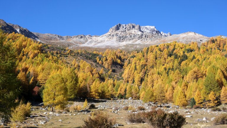 Blick zum Piz Starlex von der Mangitsalm