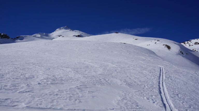 Musterspur