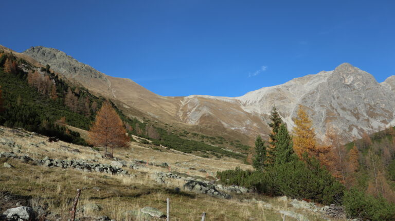Blick von der Alp Laschadura zum Piz Nuna (links)