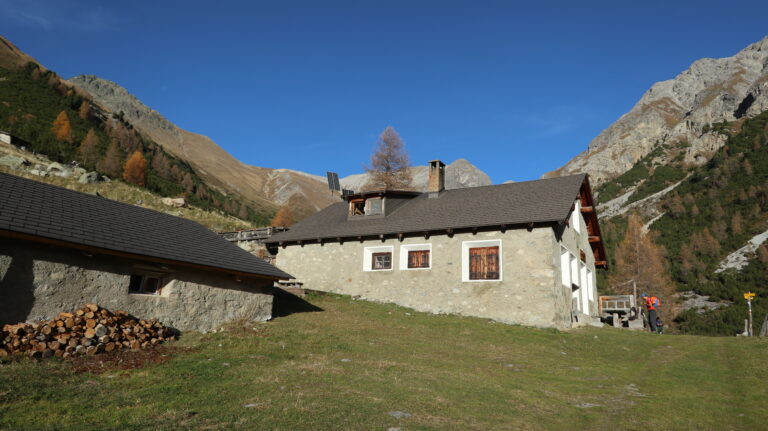 Alp Laschadura