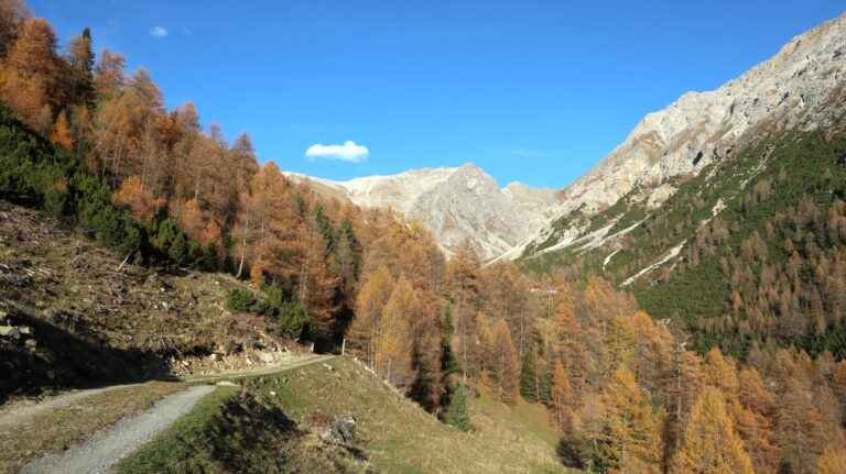 Weg zur Alp Laschadura