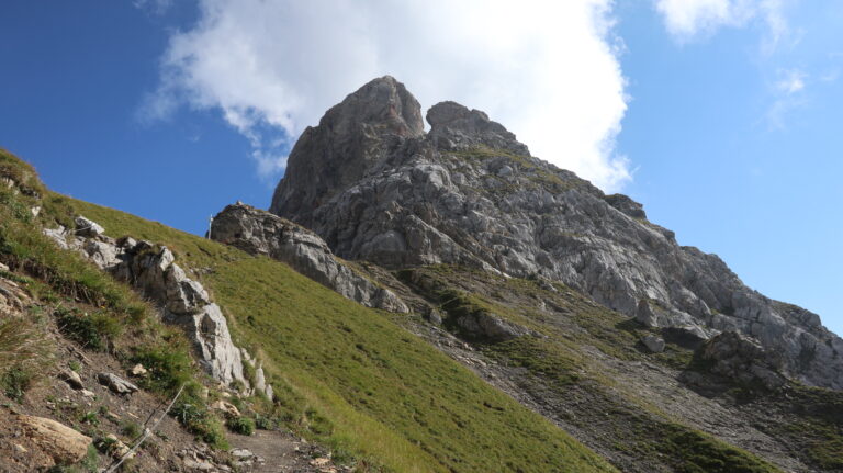 Zimbajoch