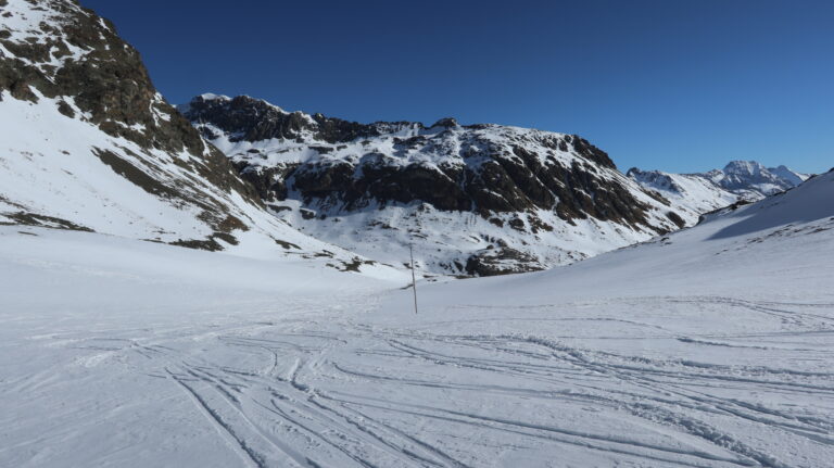 Stangen markieren die Route zur Hütte.