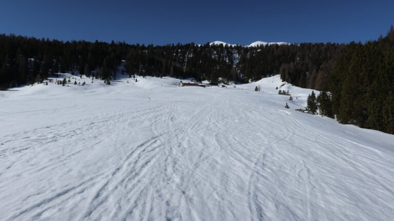 Untere Alp Buffalora