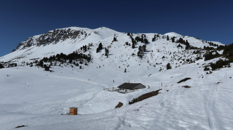 Alp Buffalora, im Hang dahinter geht es etwas steiler aufwärts.
