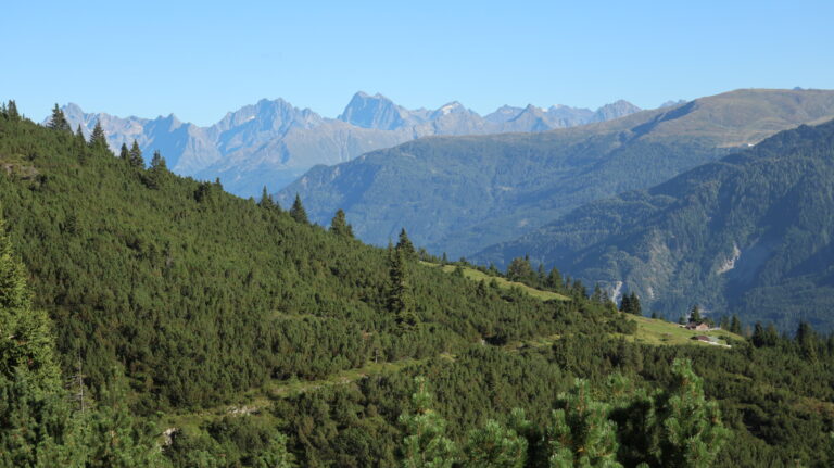 Weg zur Ochsenbergalp