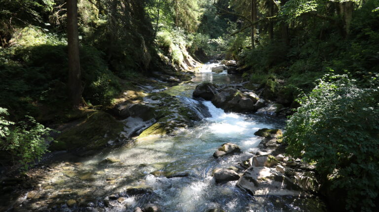 Auf der Brücke über die Vièze kurz vor Champéry
