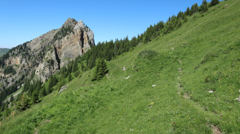 Wegspur zum Sassigrat, ein Bild vom angenehmen Teil
